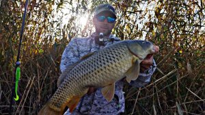 Сазаны гнут крючки, ловля на простую снасть рыбалка в Астрахани.