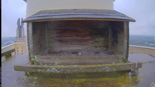 Camera 5 - 06/16/23 смотреть онлайн