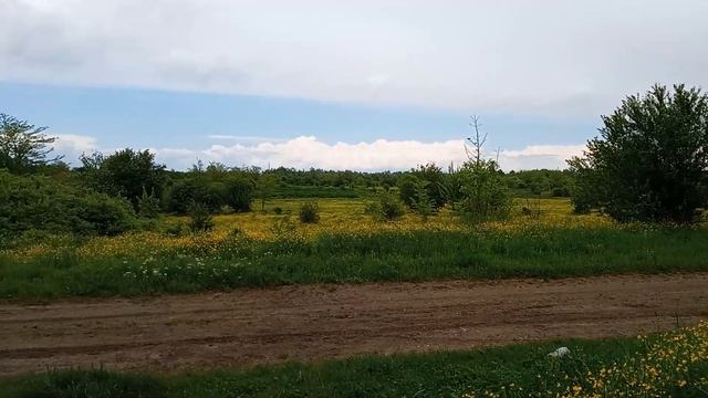 Как ловить бродячие рои и что для этого нужно знать.Приспособления для ловли пчелиных роёв.