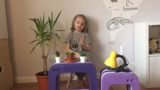 Мухоловка и резиновое насекомое смотреть онлайн