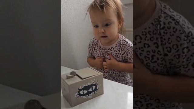 2_5456244019531102932.mp4