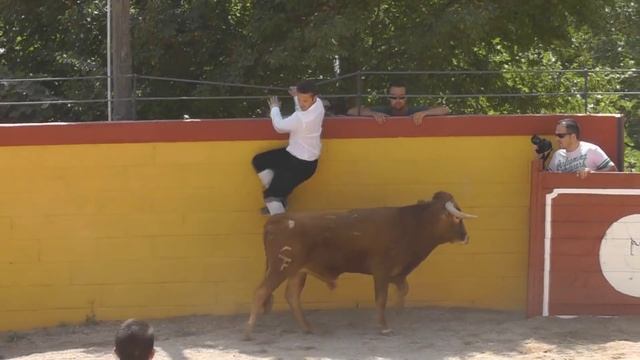 on bullfight смотреть онлайн
