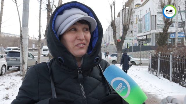 Бездомные животные. Подкармливать или усыплять? смотреть онлайн