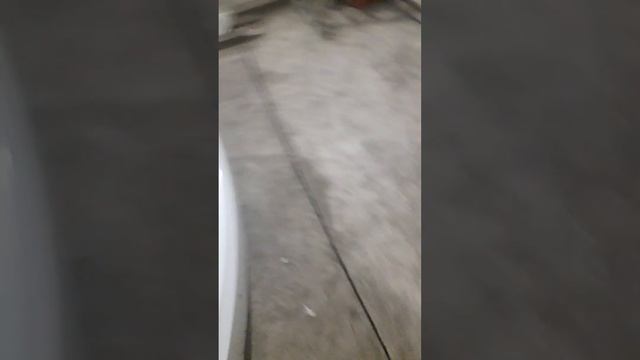 Таинственный путь Honda