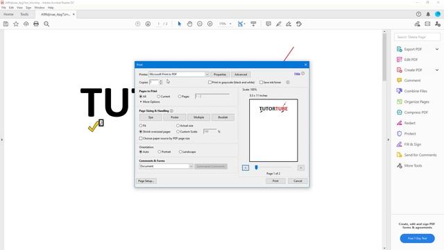 Adobe Acrobat Reader Tutorial - Lesson 32 - Print with Summarized Comments смотреть онлайн