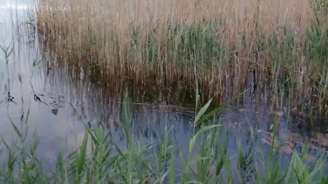 Покатушка на озеро смотреть онлайн