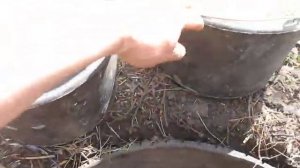 Технологии посадки черники с  НОУ-ХАУ Technologies for planting blueberries with know-how