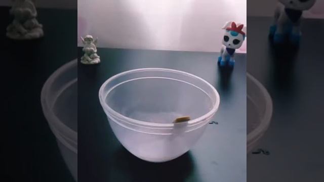 Слайм из клея карандаша😲 получился ли Лизун?! 😵😨 смотреть онлайн