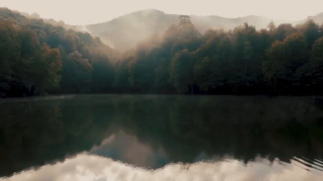 Relaxation. Звуки природы,СВЕРЧКИ,ЛЯГУШКИ,ДЛЯ СНА.Снимает стресс,укрепляет НС. смотреть онлайн