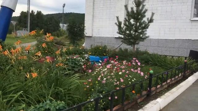 Клумба у ДХШ (Детская Художественная Школа),г. Учалы смотреть онлайн