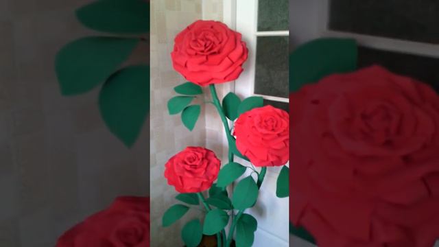 розы огромных размерах смотреть онлайн