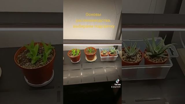 Основы растениеводства, выбираем подсветку. смотреть онлайн