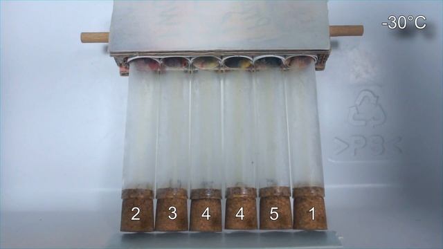 Olej 5W30 507 Test Zimna -30°C BP 5W30, Windigo 5W30, Motul 5W30, Bizol 5W30