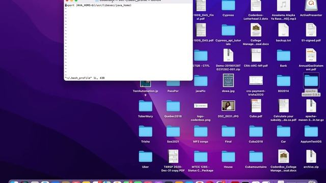 How to install Maven on Mac || Set environment variable for Maven смотреть онлайн