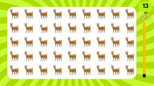 Find the Odd One Out | Spot the Hidden Animal |Difficulty: HARD| ONLY 1% Can Find ALL 25? смотреть онлайн