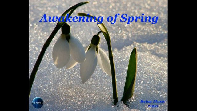 045. Awakening Of Spring (2020)