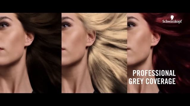 Schwarzkopf Oleo Intense смотреть онлайн