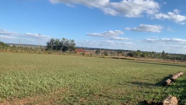 Будем Топить Печь. ,,Сладкие заморозки,,#vlog #paraguay смотреть онлайн