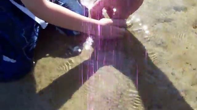 Little Boy Discovers Baby Horseshoe Crabs смотреть онлайн