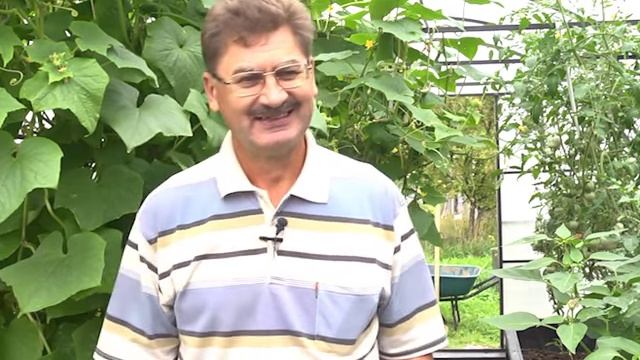 сюжет 'теплый пол'. теплица1 смотреть онлайн