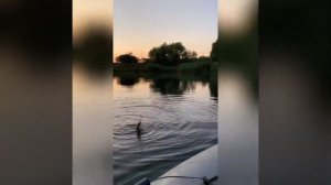 Рыбалка в Новомичуринске