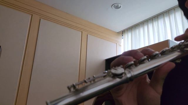 フルートで インタネットやめろ 吹いてみた(Internet Yamero Flute Cover) смотреть онлайн
