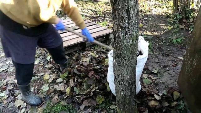 Последняя осенняя поезда на дачу 29 ноября Геленджик 2020 смотреть онлайн