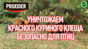 Уничтожили красных клещей у кур