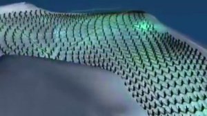 Schiffie & Co - Penguin Dance