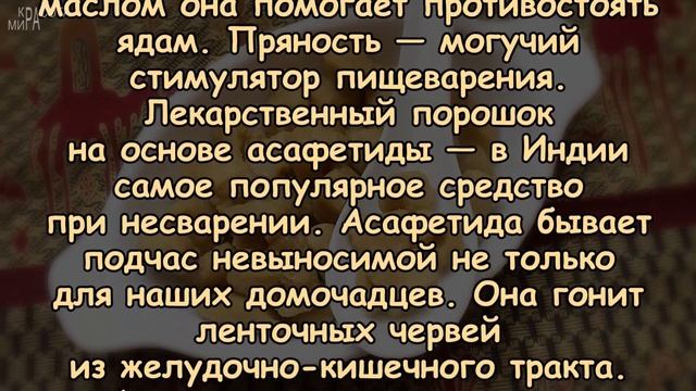 АСАФЕТИДА - применение и лечебные свойства смотреть онлайн