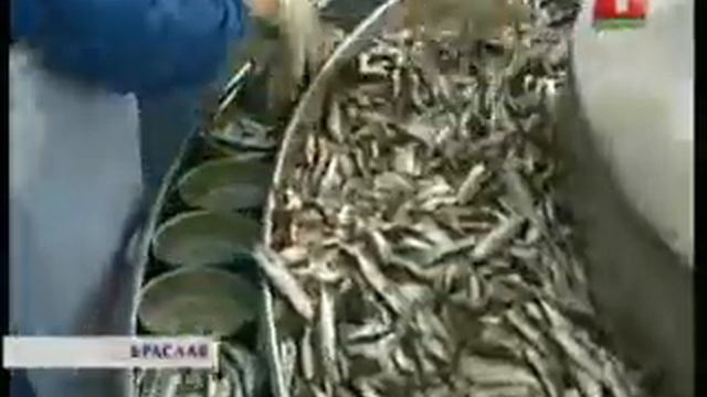 Браславский рыбхоз смотреть онлайн