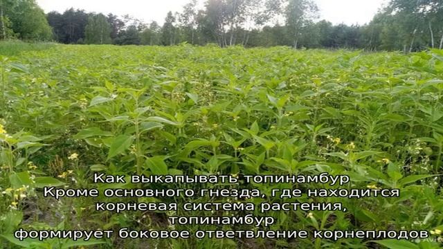 Спорт и Физическая Активность