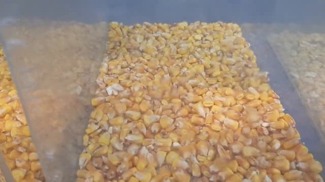 Grain separator CAD #Сепаратор_САД для очистки зерна с компьютерной регулировкой смотреть онлайн