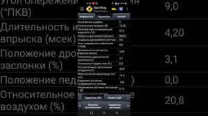 провал и нестабильная работа двигателя ваз 2115 8кл