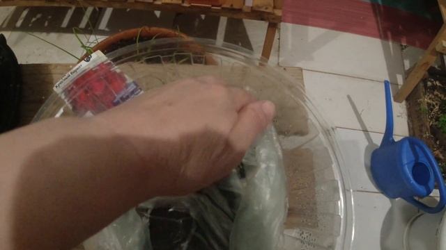 НЕ ПРЕДУСМОТРИТЕЛЬНО / ПРИВЕТ ИЗ ОКНА / ДУМАЛА ЧТО ВСЁ / ОБЗОР АРАНЖЕРЕИ / ФРИКАДЕЛЬКИ смотреть онлайн