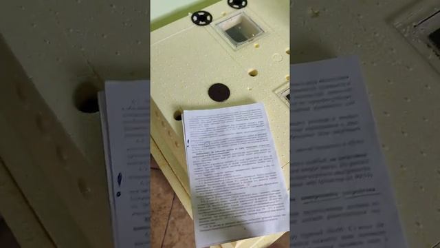 инкубатор золушка 2021 год