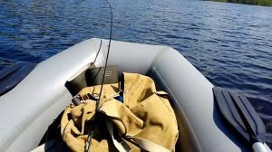 тохатсу 9.8 , 2т