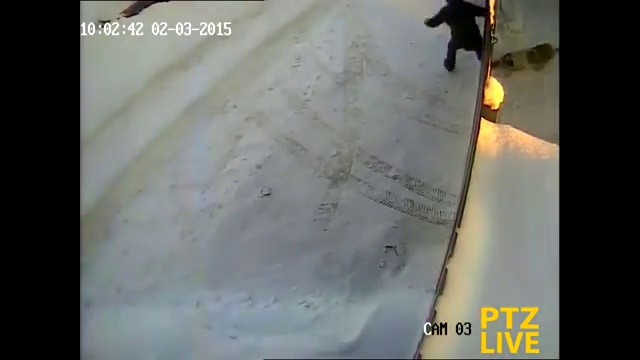 Подразнил собачек смотреть онлайн