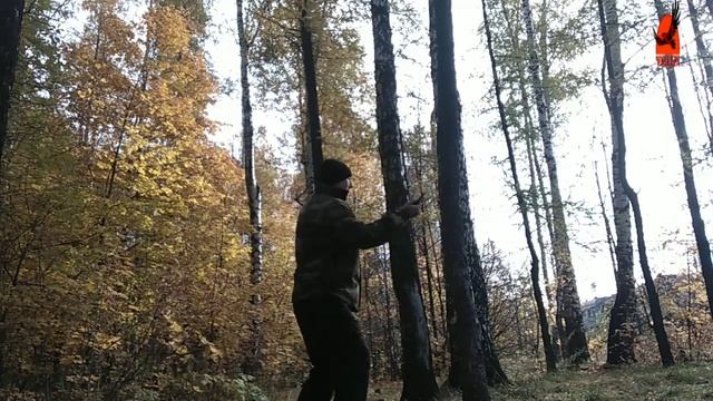 Ножевые связки. Прекрасная осень. смотреть онлайн