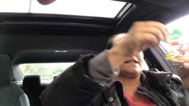 INCREDIBLE LARGE DOLLAR TREE HAUL | ALL NEW ITEMS | MUST SEE | OCTOBER 17 2019 смотреть онлайн