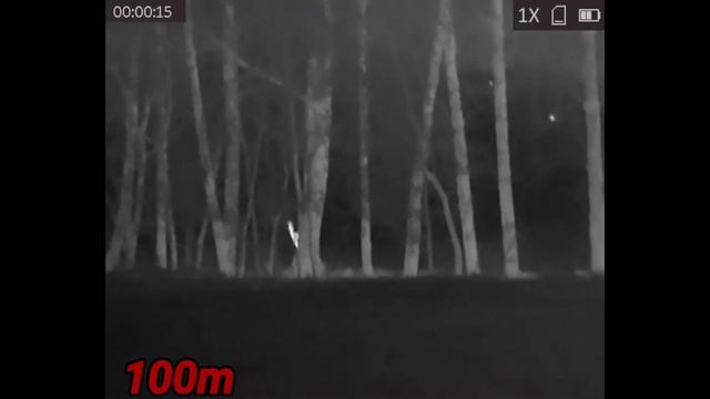 Hikmicro Lynx PRO19mm смотреть онлайн