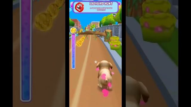 Dog Run Game : Puppy Racing Game - Dog Runner | Android/iOS Gameplay HD смотреть онлайн