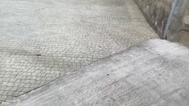 Ай-Петри. Давно не были. 21.11.2023 Крым. ЮБК. Ай-Петри. смотреть онлайн