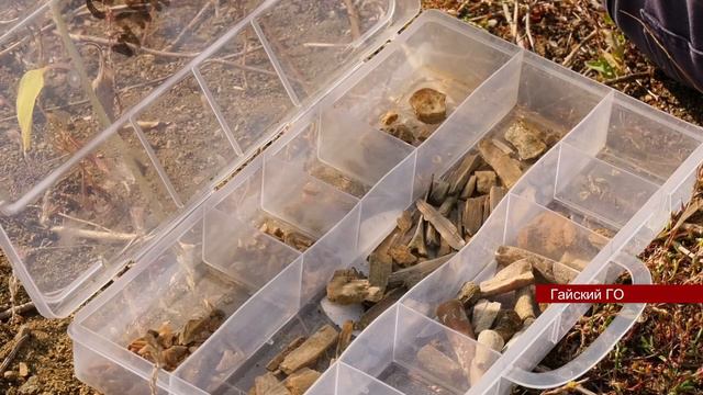 Спецрепортаж ORSK RU   в Оренбуржье впервые нашли скелет мозазавра