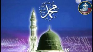 Хайрулла Хамидов Умуман ЧИДАБ ТУРОЛМАДИ