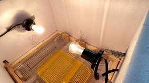 САМЫЙ ДЕШЁВЫЙ ИНКУБАТОР СВОИМИ РУКАМИ !!! + АВТОПОВОРОТ ЯИЦ