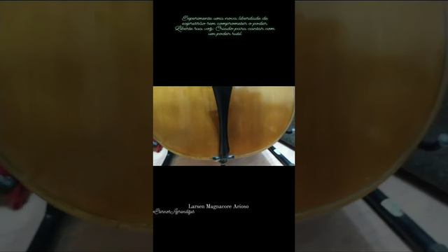 Larsen Magnacore Arioso смотреть онлайн