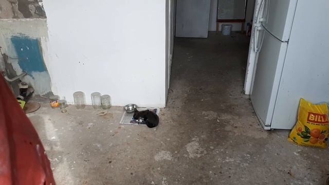 Вареное яйцо с солью, хлебом и компотом из крыжовника. Моя жратва смотреть онлайн