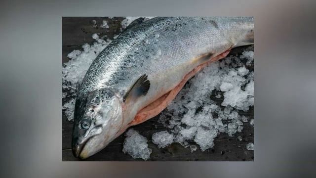 Икра красная в Волгограде. Опт и розница от MAX FISH