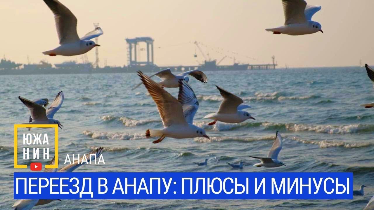 Переезд в Анапу: плюсы и минусы смотреть онлайн